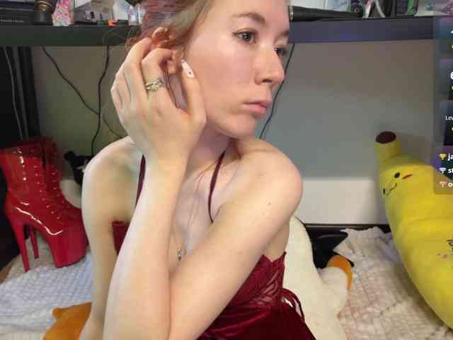 AliceSlim webcam
