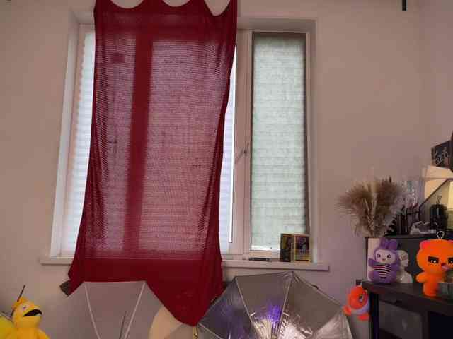AliceSlim webcam