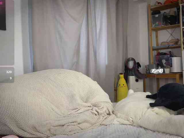 AliceSlim webcam