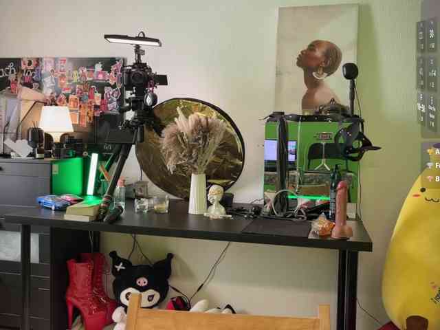 AliceSlim webcam