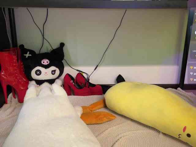 AliceSlim webcam