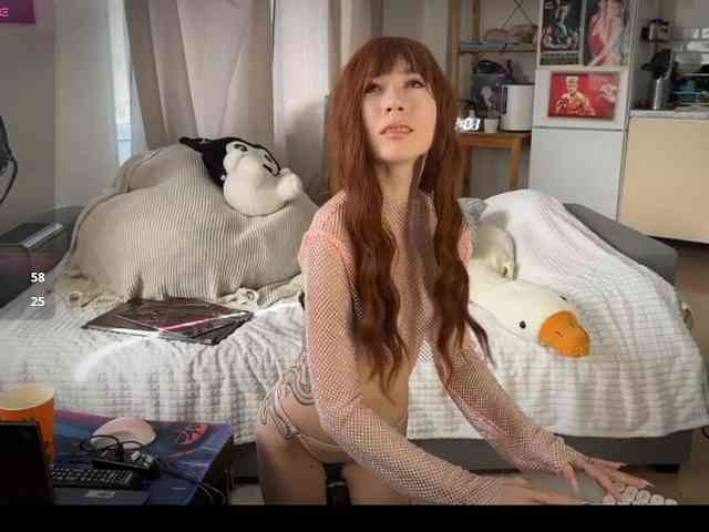 AliceSlim webcam