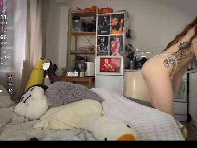 AliceSlim webcam