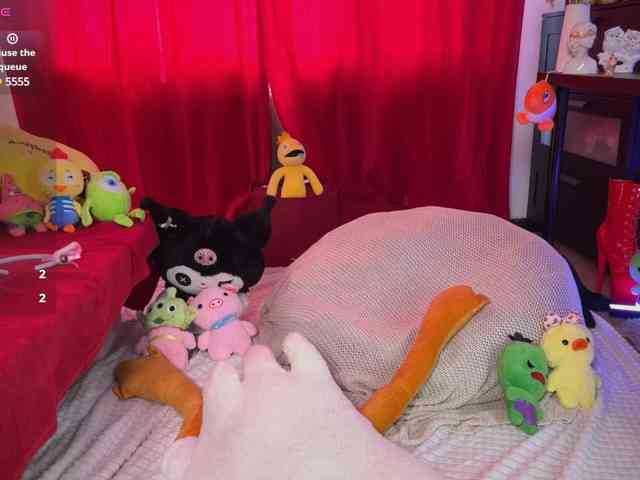 AliceSlim webcam