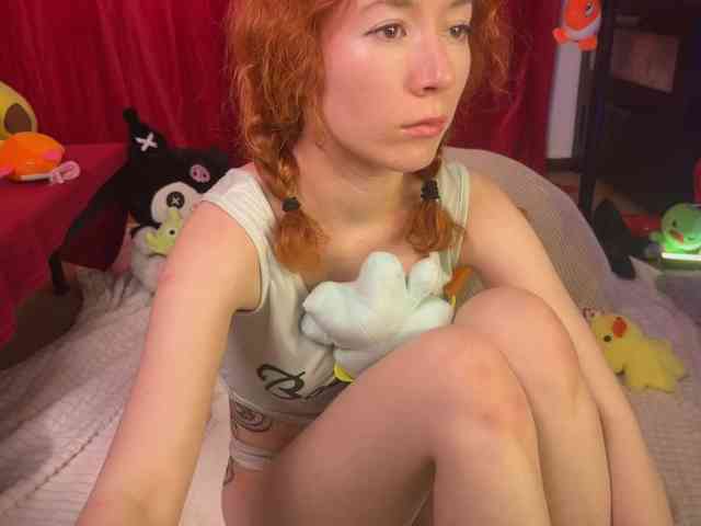AliceSlim webcam