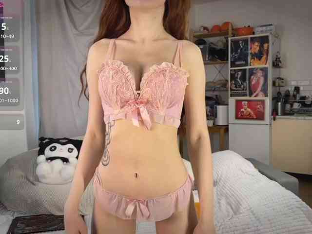 AliceSlim webcam