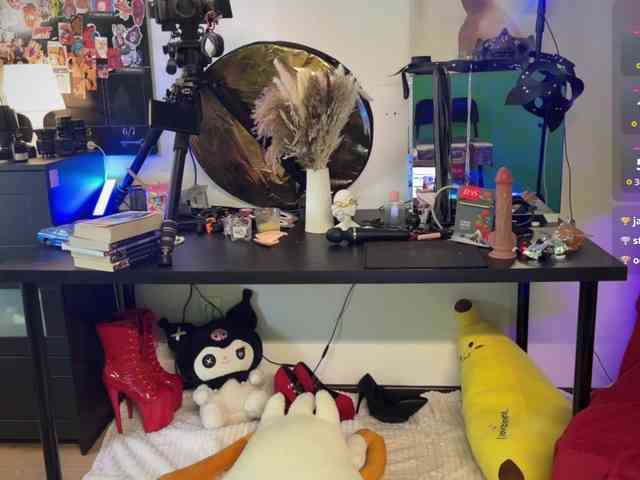 AliceSlim webcam