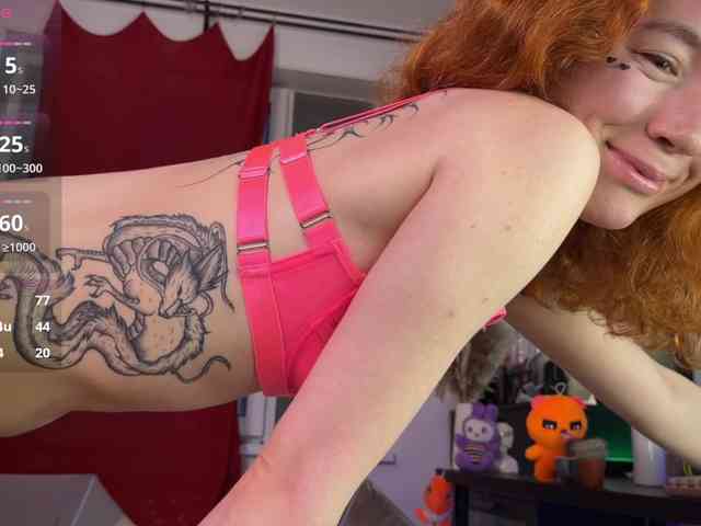 AliceSlim webcam