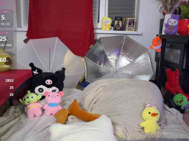 AliceSlim webcam