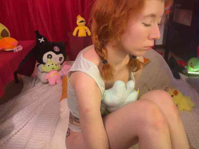 AliceSlim webcam