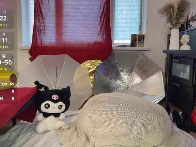 AliceSlim webcam
