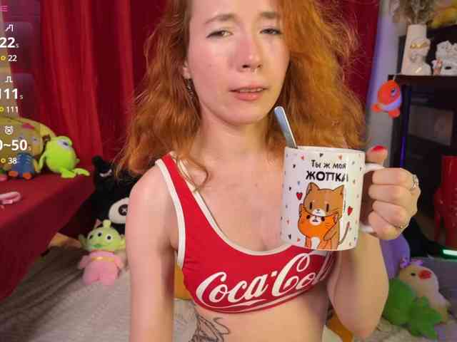 AliceSlim webcam