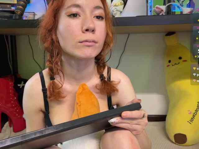 AliceSlim webcam