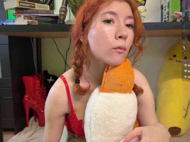 AliceSlim webcam