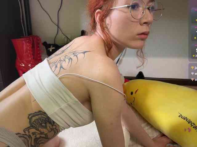 AliceSlim webcam