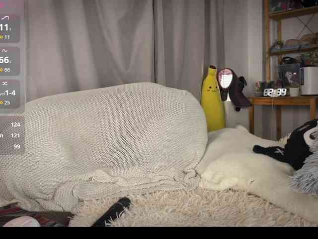 AliceSlim webcam
