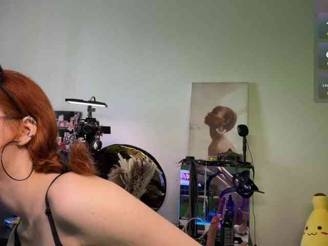 AliceSlim webcam