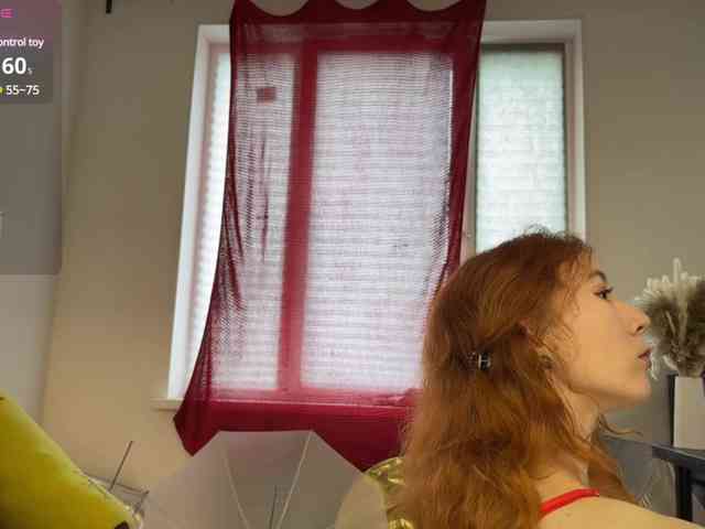 AliceSlim webcam