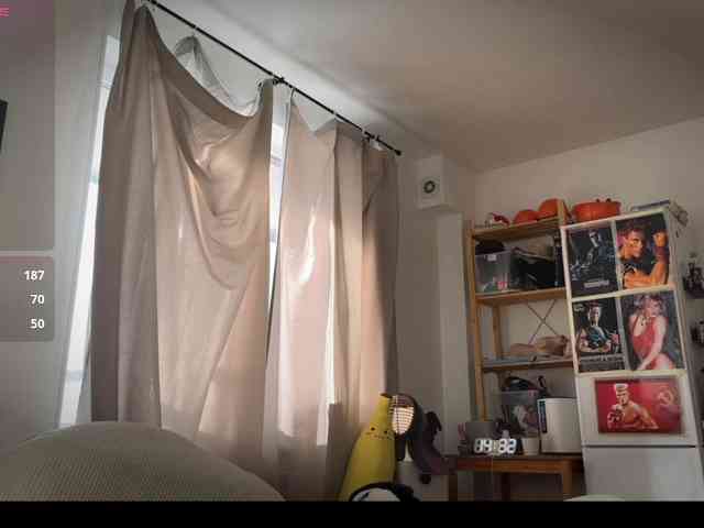 AliceSlim webcam