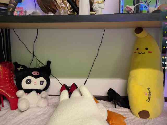 AliceSlim webcam