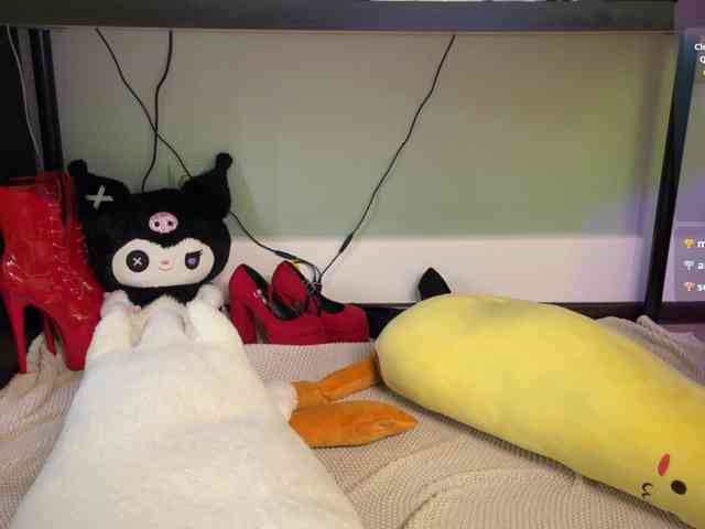 AliceSlim webcam
