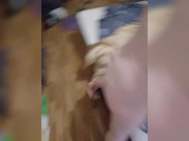 AliceFoxy777