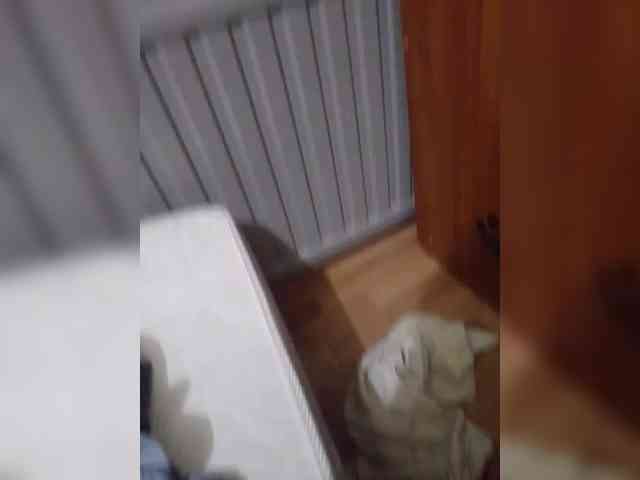 AliceFoxy777 AliceFoxy777