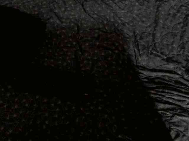 baby-rous Live Webcam on BongaCams