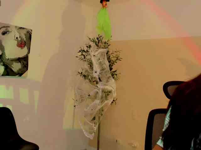 WhisperWish webcam