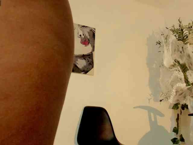 WhisperWish webcam