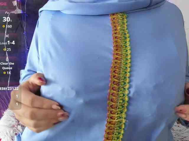 Marian-Fadel webcam