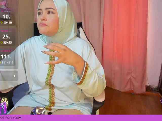 Marian-Fadel webcam