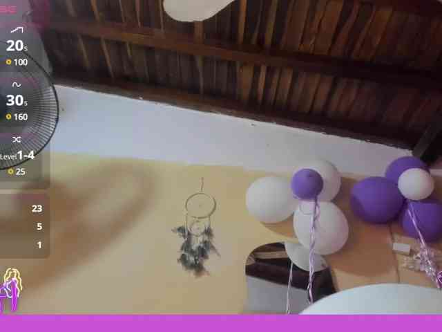 Marian-Fadel webcam
