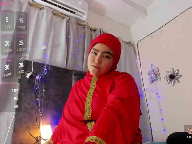 Marian-Fadel webcam
