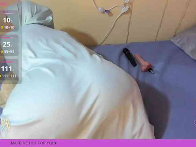 Marian-Fadel webcam