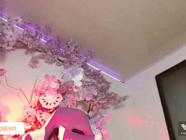 Lindseyferrer Lindseyferrer