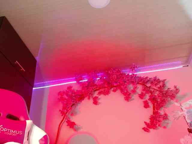 Lindseyferrer webcam