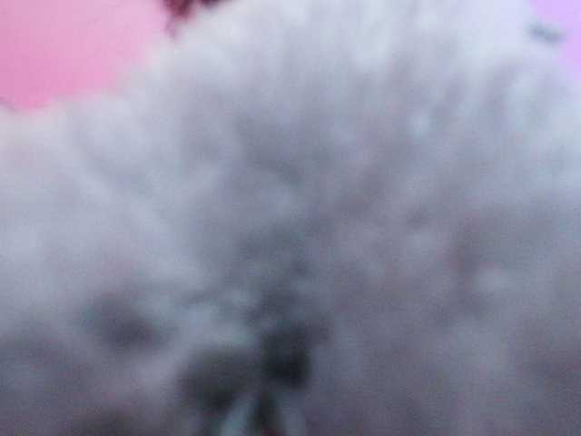 laurenelove's BongaCams show and profile