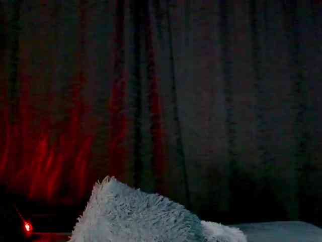 Evah-lee webcam