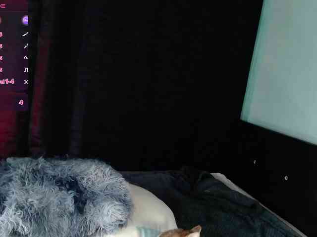 Evah-lee webcam