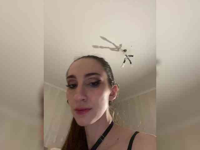 MurrNika webcam