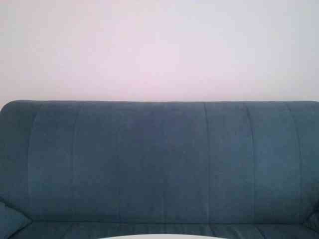SueWalker webcam