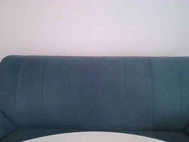 SueWalker webcam