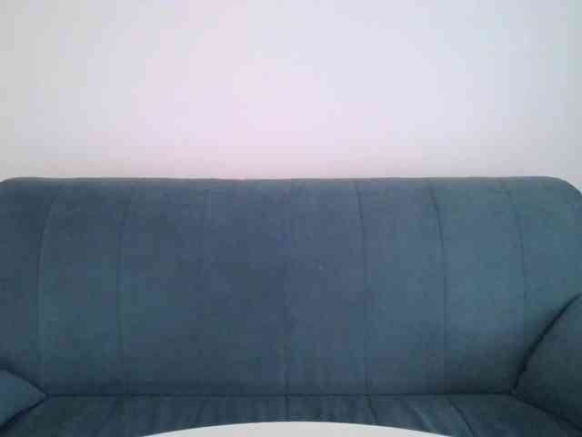 SueWalker webcam