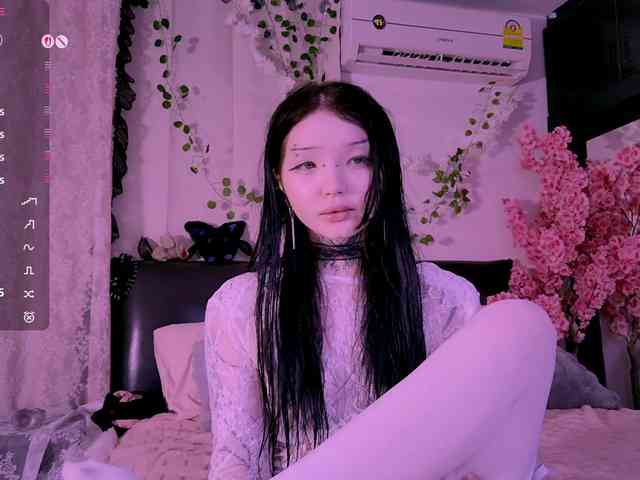 Leinbone webcam