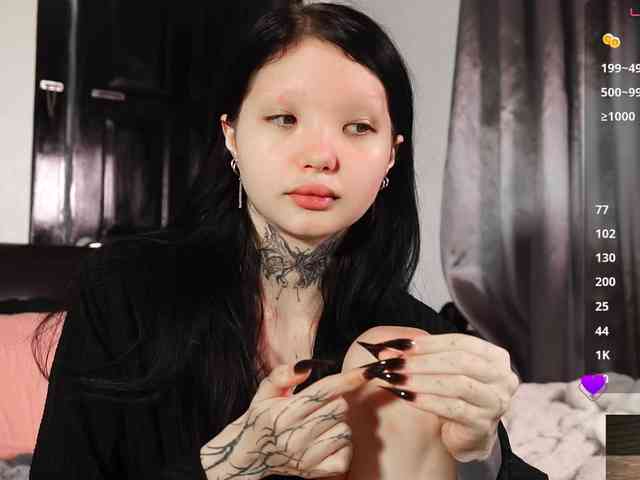 Leinbone webcam