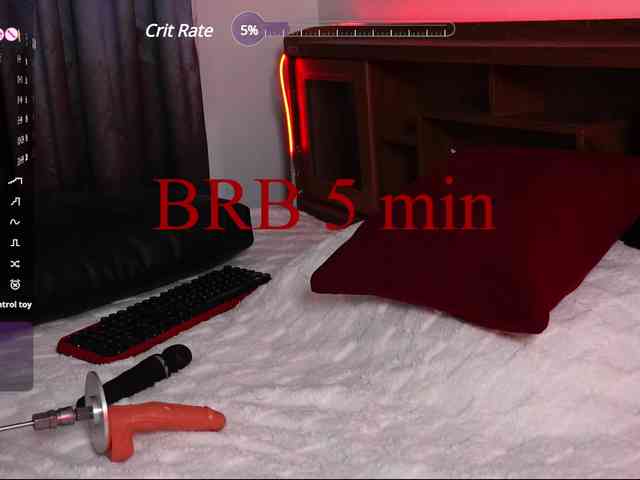 Leinbone webcam