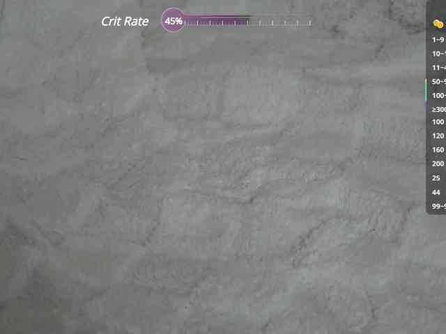 Leinbone webcam
