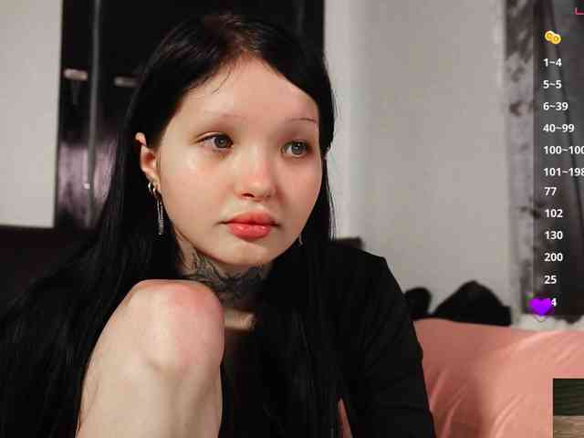 Leinbone webcam