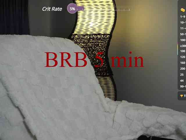 Leinbone webcam